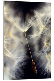 Magnettafel Weiche Schirmchen