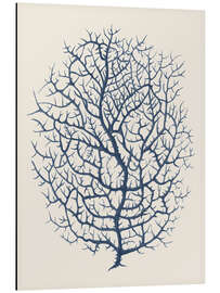 Magnettafel Indigo Koralle I