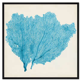 Gerahmter Kunstdruck Seefächer azur
