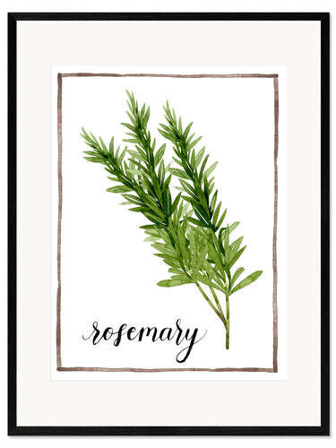 Ingelijste kunstdruk Herbal illustration rosemary