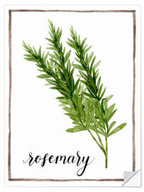 Selvklebende plakat Herbal illustration rosemary