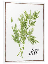 Hartschaumbild Kräuterillustration Dill