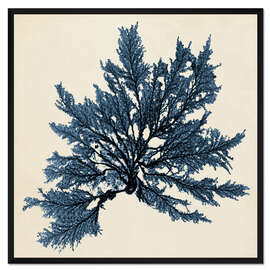 Gerahmter Kunstdruck Indigo Koralle I