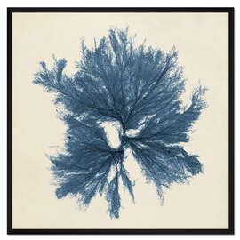 Gerahmter Kunstdruck Indigo Koralle III