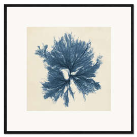 Framed art print Indigo Coral III