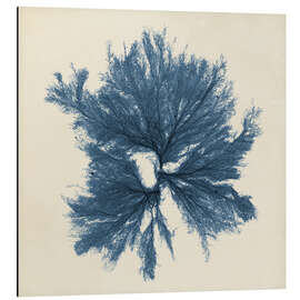 Magnettafel Indigo Koralle III