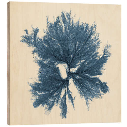 Wood print Indigo Coral III