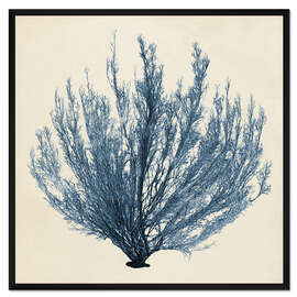 Gerahmter Kunstdruck Indigo Koralle V