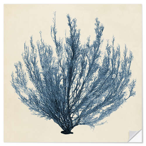 Wall sticker Indigo Coral V