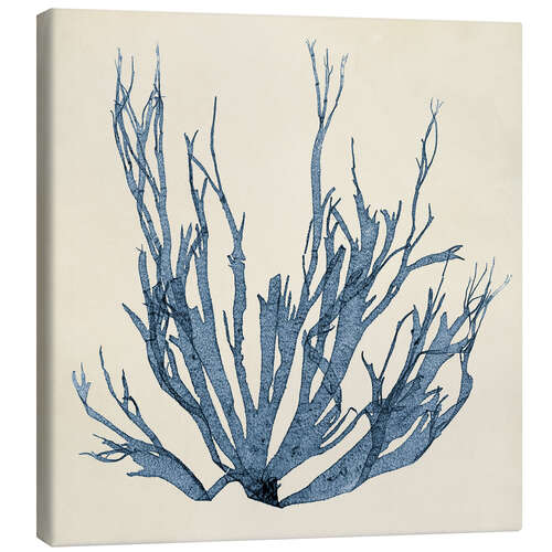 Canvas print Indigo Coral VI