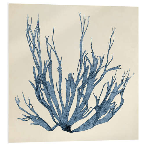 Gallery print Indigo Coral VI