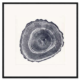 Kehystetty taidepainatus Tree Ring I