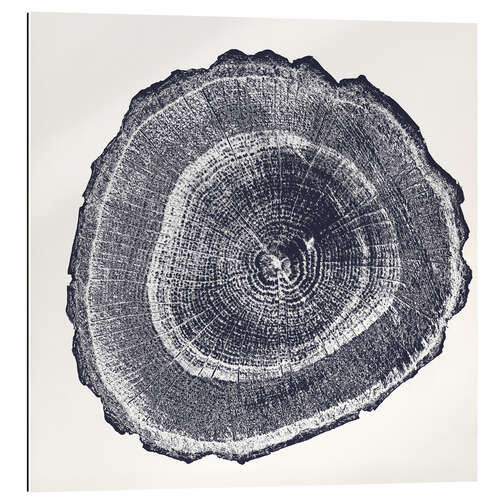 Gallery print Tree Ring I