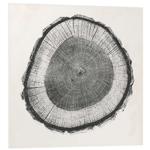 PVC-taulu Tree Ring II