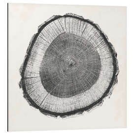 Magnettafel Baumring II