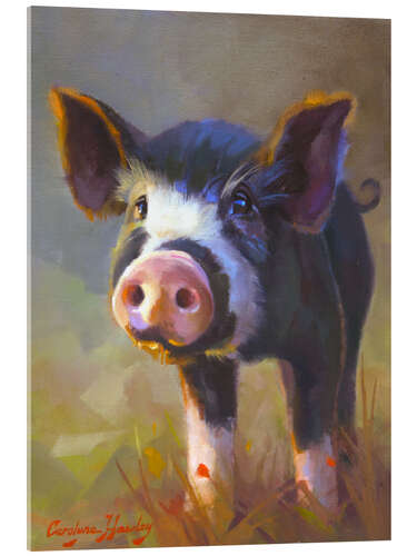 Obraz na szkle akrylowym Black piggy