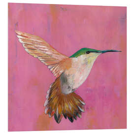 Foam board print Sweet Hummingbird I