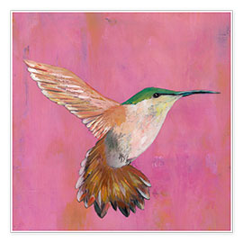 Poster  Doux colibri I - Mehmet Altug
