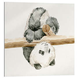 Gallery print Baby Panda II