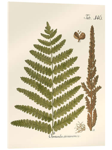 Akrylbilde Vintage Fern I