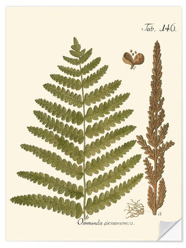 Selvklebende plakat Vintage Fern I