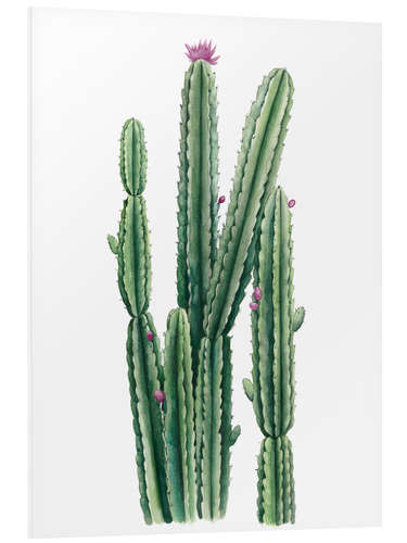 PVC-taulu Flowering cactus II