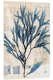 Foam board print Seaweed Arrangement I