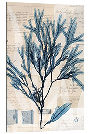 Galleriprint Seaweed Arrangement I