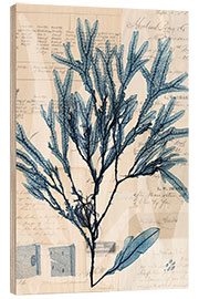 Wood print Seaweed Arrangement I