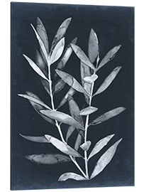 Aluminium print Midnight Leaves II