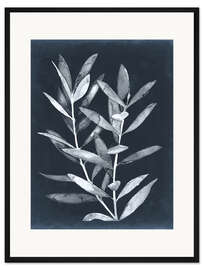 Gerahmter Kunstdruck Mitternachtspflanzen II
