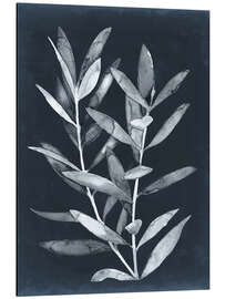 Magnettafel Mitternachtspflanzen II