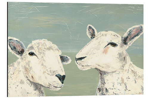 Aluminium print Shy sheep