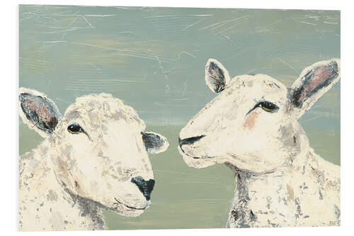 Foam board print Shy sheep