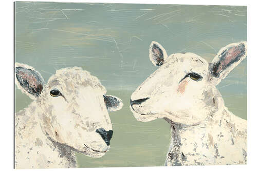 Gallery print Shy sheep