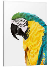 Aluminium print Parrot