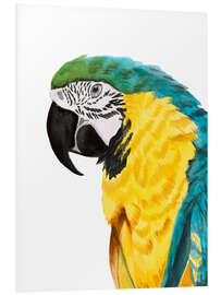 Foam board print Parrot