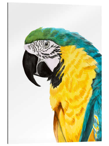 Galleritryck Parrot