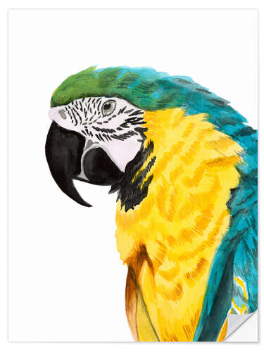 Selvklebende plakat Parrot