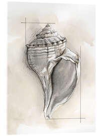 Akryylilasitaulu Shell Schematic I