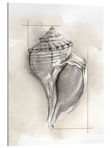 Gallery print Shell Schematic I