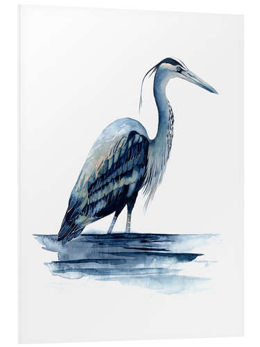 Foam board print Azur Heron II