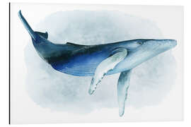 Aluminium print Humpback whale I