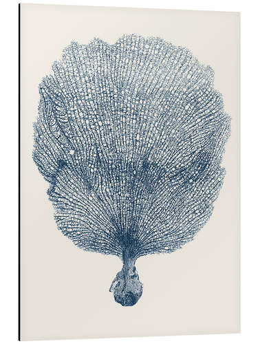 Aluminium print Sea fan indigo