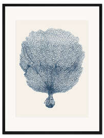 Gerahmter Kunstdruck Seefächer indigo