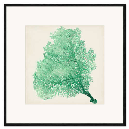 Innrammet kunsttrykk Sea fans deep green