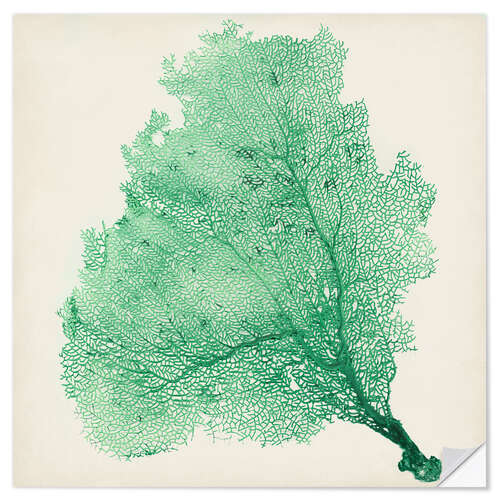 Selvklebende plakat Sea fans deep green