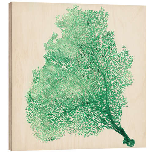 Tableau en bois Corail gorgone vert foncé