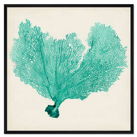 Gerahmter Kunstdruck Seefächer petrol