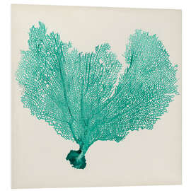 PVC-taulu Sea Fan petrol